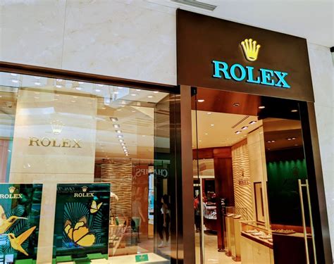 buy rolex tampa fl|rolex store tampa fl.